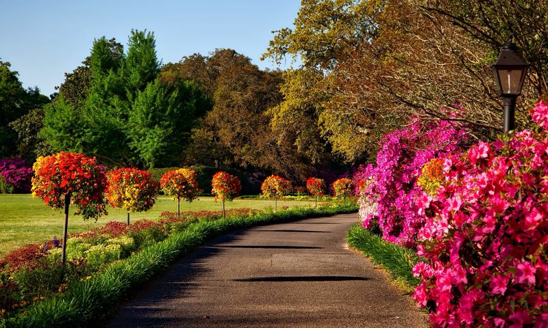 Open green spaces benifits to health